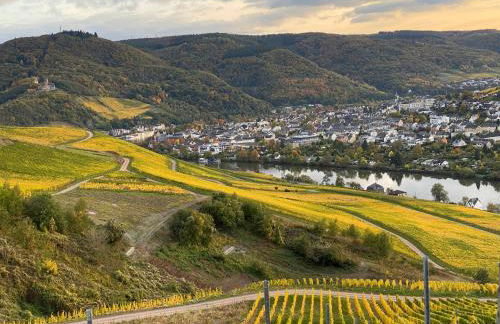 Apartment an der Mosel 1 - Foto 8