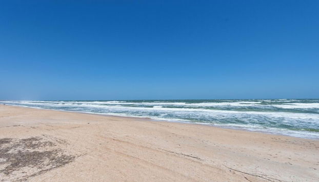 Servizio della struttura