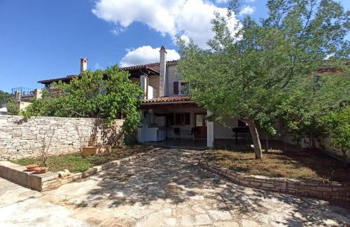 Guest House Tara - Foto 24