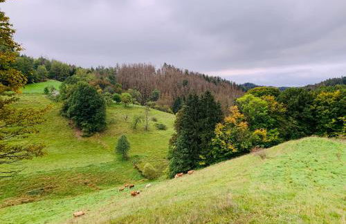 Naturhof Kluge - Foto 68