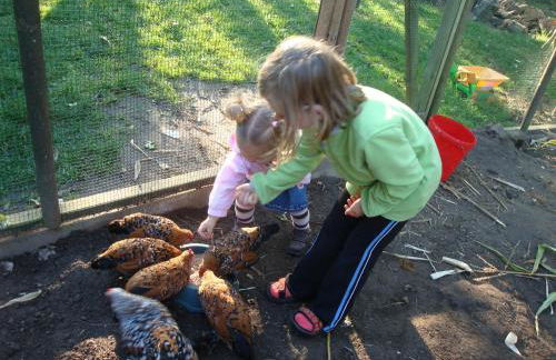 Gutspark Seeblick - Foto 24