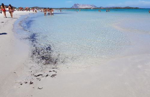 Villa Panamàr - Foto 59