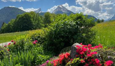 Oberstöberl - Foto 2, Garden, Garden view