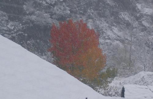 Apartamentos Ca de Marti - Foto 75