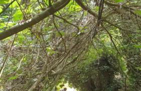 Casa El Collado - Foto 30