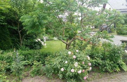 Apartment in Eibenstock 30354 - Foto 3