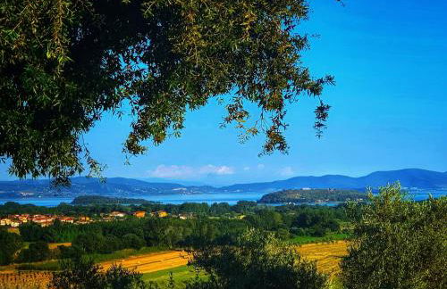 Agriturismo Annibale - Foto 41