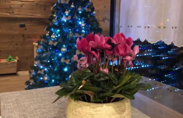 Appartamento a due passi da Bormio - Foto 12