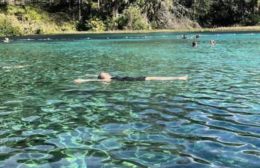 Sweet retreat in the springs NOT waterfront property - Foto 17