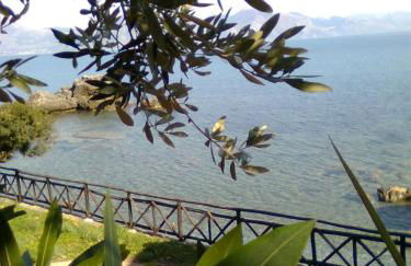 La Francesca Sud un villaggio"glamping" - Foto 6