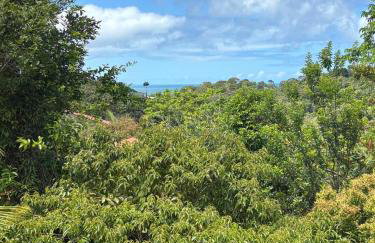Casa Amar'ela Refugio Tropical, PERTO DAS MELHORES PRAIAS !!!!! - Foto 12