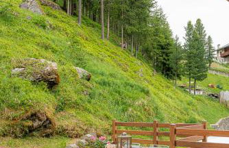 Chalet La Pineta - Foto 25