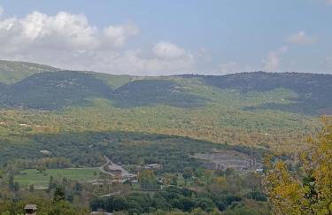 ΑΡΧΟΝΤΙΚΟ ΜΑΝΤΕΙΟ - Photo 28