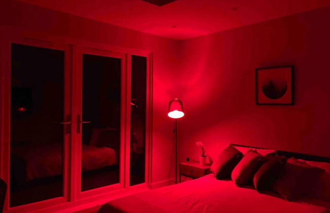 Contemporary Guest House With Outside Barrel Sauna - Foto 2