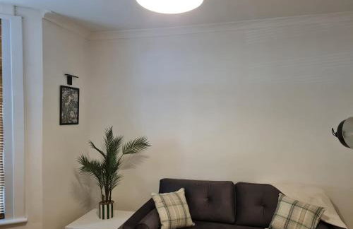 Ground Floor Maisonette Near St James St Overground Station - Foto 25