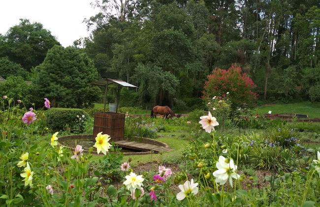 Millgate Cottage - Foto 52