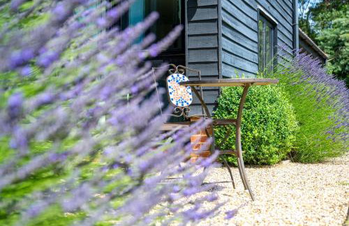 Moles Meadow - Foto 33