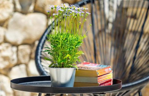 Villa Imortele aria with pool by Villas Guide - Foto 32