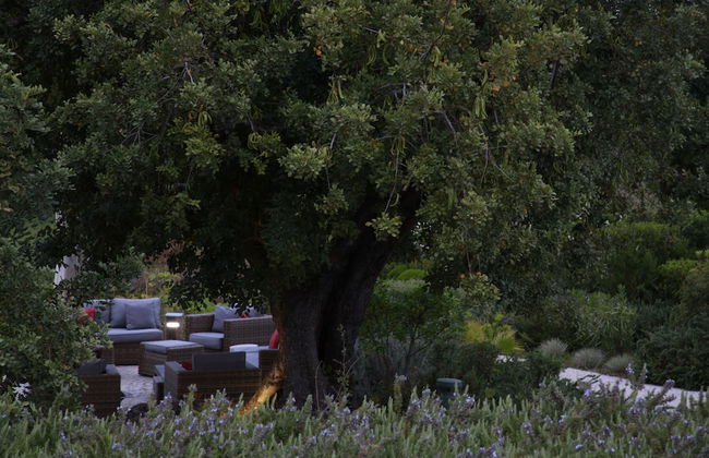 Fazenda Nova - Country House - Foto 59