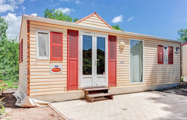 Chateau Saint Martin de Graves - Foto 10