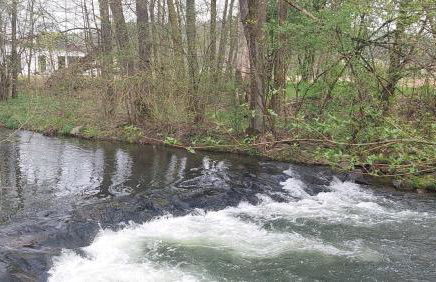 Ferienhaus Casa Neugrua - Foto 33