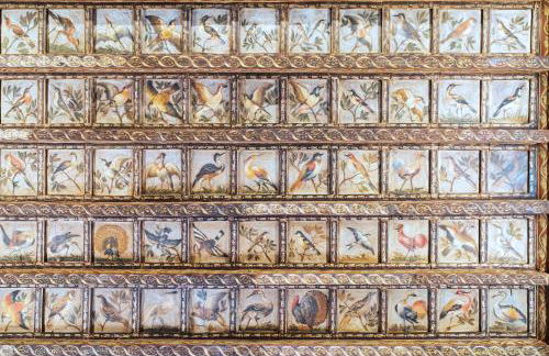 Il sogno delle tartarughe - Foto 25