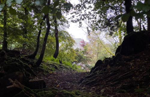 Daweswood, Patterdale, characterful with fairy tale garden and fell walks from the door - Foto 50