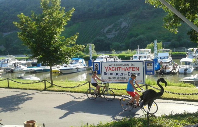 Garden Retreat With Pond View - Photo 38