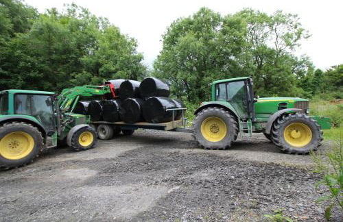 David's Organic Farm Wales - Foto 21