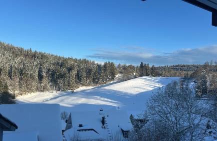 Ferienhaus Rotzinger - Foto 31