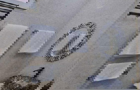 Apartments History 1870 - Foto 49