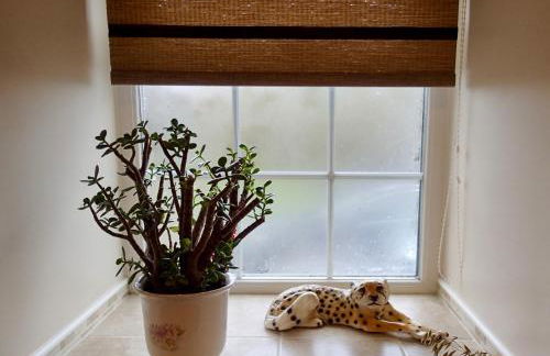 Brecon Boutique Breaks Wild Land - Foto 22