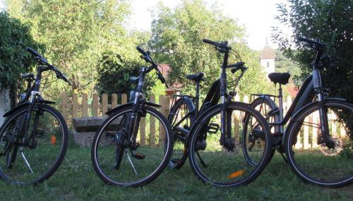 Gîte familial rénové avec jardin au cœur de la Vallée de la Saône - FR-1-583-467 - Foto 4