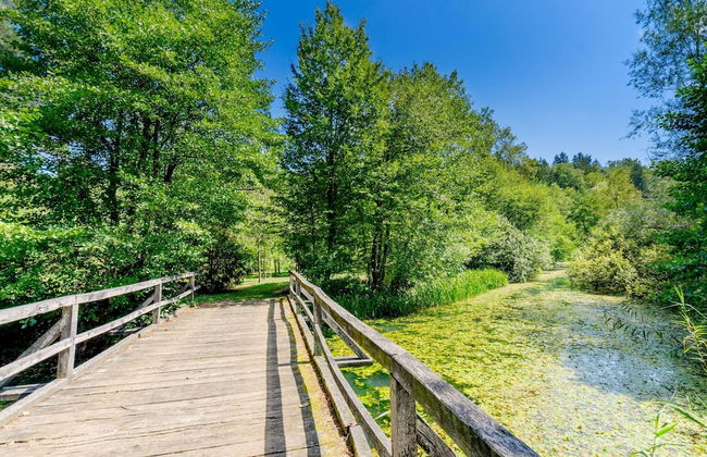 The Old Barn Near Kolpa River - Foto 7