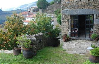 Cardenha do Douro - Photo 4