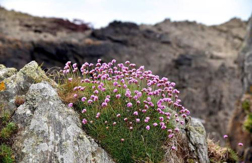 le perchoir à côté de la mer ,spa - Foto 21