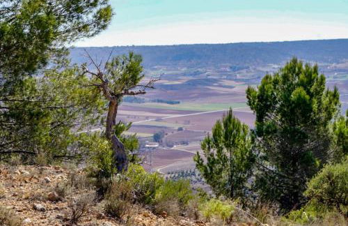 De Felipe Casa Rural - Foto 53