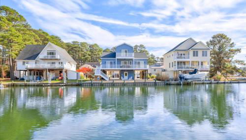 Coastal Crab - Foto 2