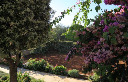 Apartments by the sea Ugljan - 348 - Foto 22