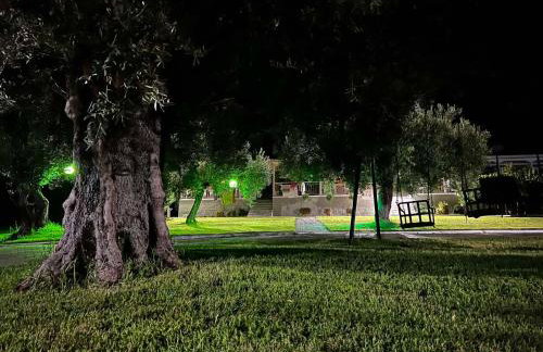 House Garli Premium Hospitality - Photo 65