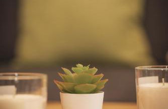 feworld living - near Salzburg city - Foto 22