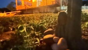 Chalé Vista Da Serra - Foto 5