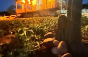 Chalé Vista Da Serra - Foto 5