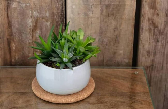 City Centre Contemporary Apartment - Manchester - Foto 30