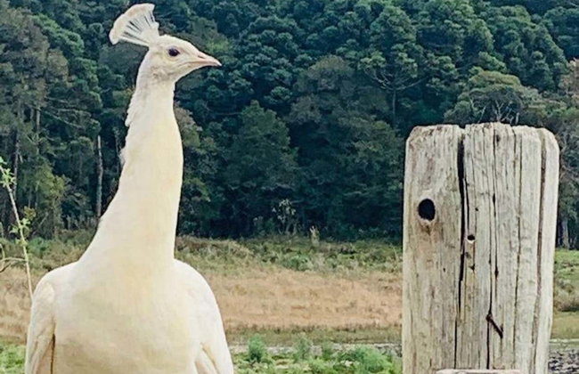 Visita a la estancia Santa Bárbara - Foto 8