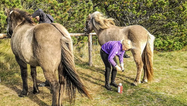 Holiday Home in Pandrup With Shared Bathroom - Foto 5, Miscelánea