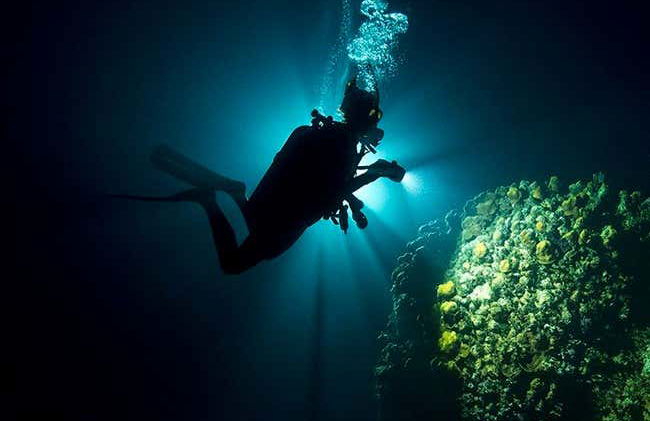 4 day PADI Open Water Course - Photo 6