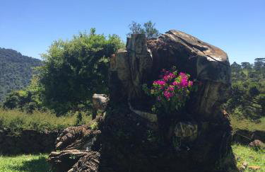 Rancho do Tigre - Foto 11