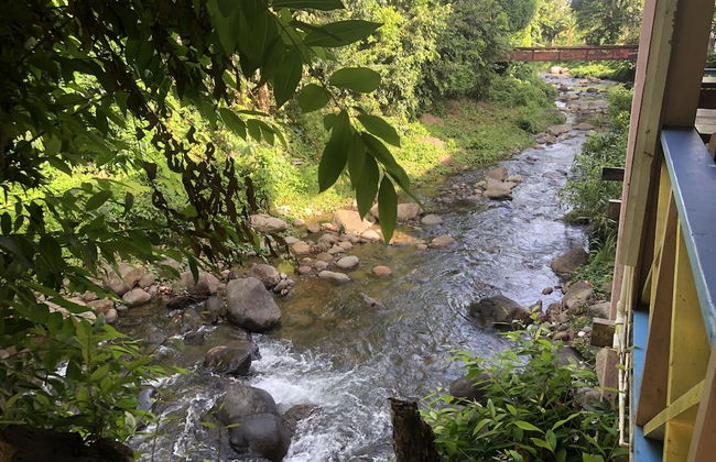 Coco Mango Suites - Photo 80