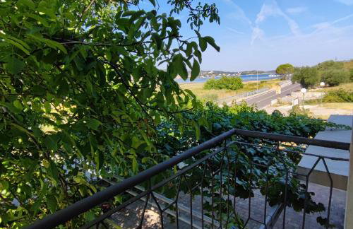 Apartmani Olivera 2 - Foto 11